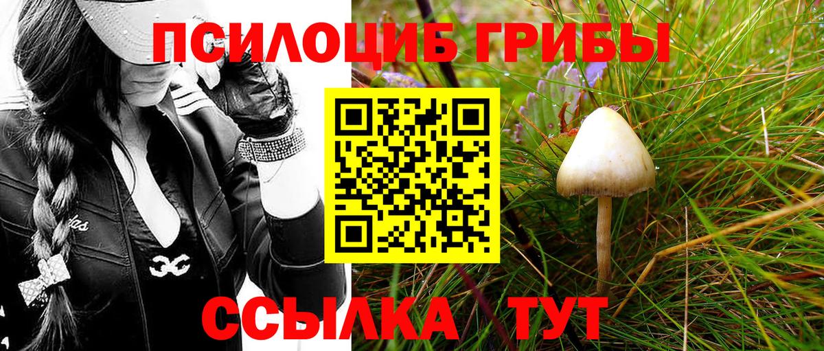 Галлюциногенные грибы прущие грибы Рыбинск